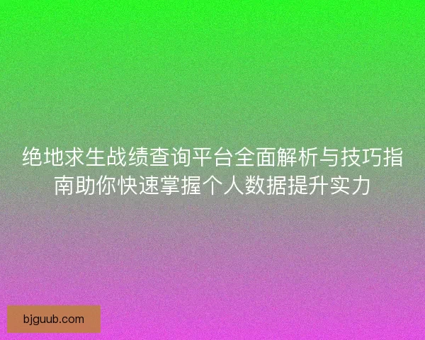 绝地求生战绩查询平台全面解析与技巧指南助你快速掌握个人数据提升实力